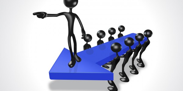 (Interim) management